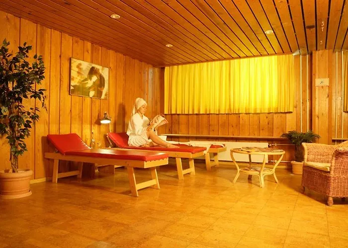 Isg هايدلبرغ